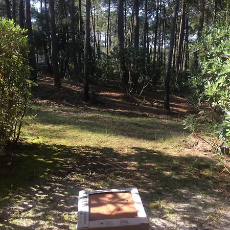 Apartment ***l'oree Des Pins*** T2 En Rdc Avec Jardin Refait A Neuf *
