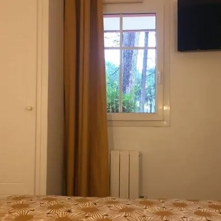 Apartment ***l'oree Des Pins*** T2 En Rdc Avec Jardin Refait A Neuf